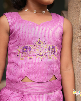 Vaaranam - Hand Embroidered Elephant Pavadai Sattai Set