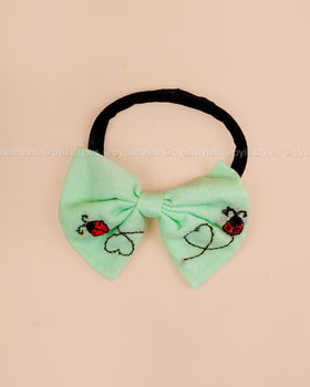 Vaigai – Mint Green Dress Set with Ladybug Embroidery